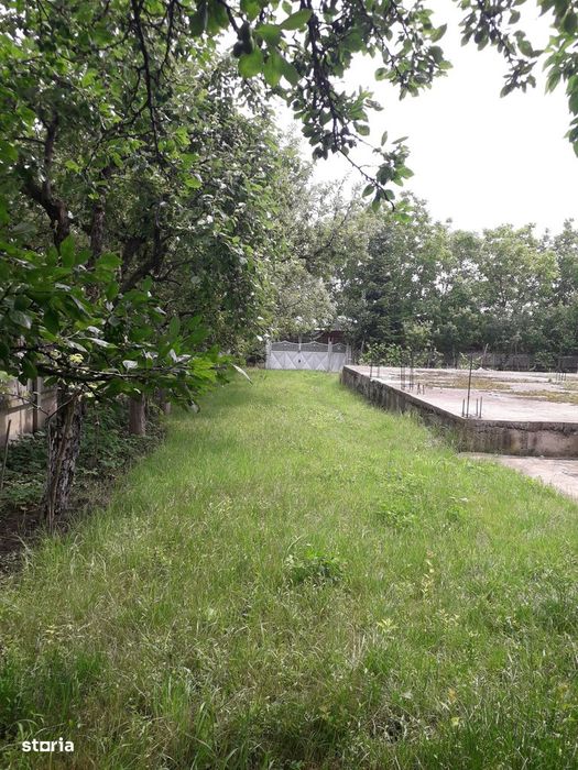 Vând grădină în Târgu Frumos