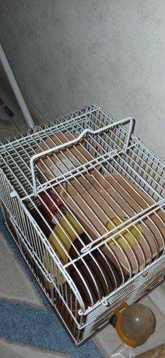 клетка для хомяка