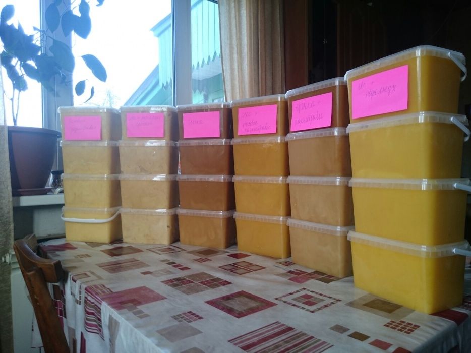 Мёд продам алтайский лесной оптом