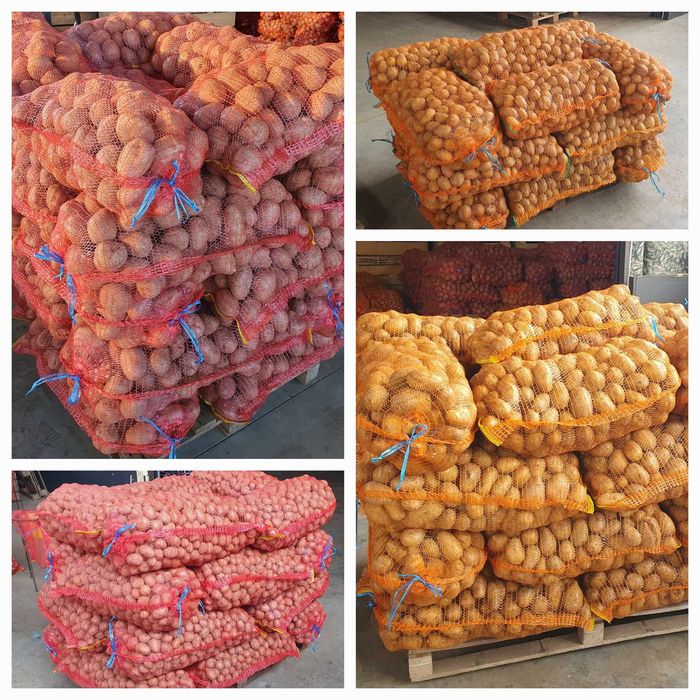 Cartofi consum, Carrera 50+, ambalat ieri 19 februarie