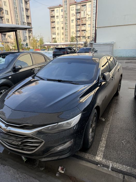 Malubu 2 primyer 3020 srochni sotiladi