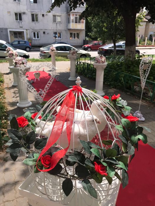 Porumbei albi și decor pentru evenimente