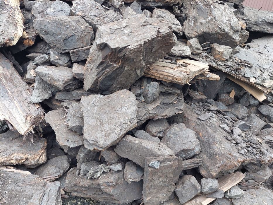 Carbuni lignit sortati