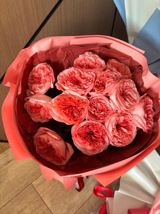 Продам цветы живые