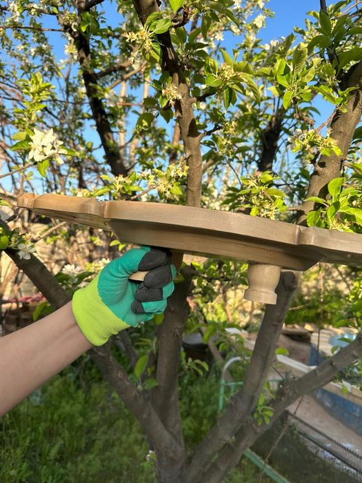 Астау, Бас табақ,