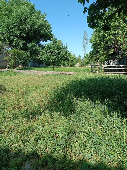 Yer ,Земля Сотилади ,1 сотиги 15,000 доллар