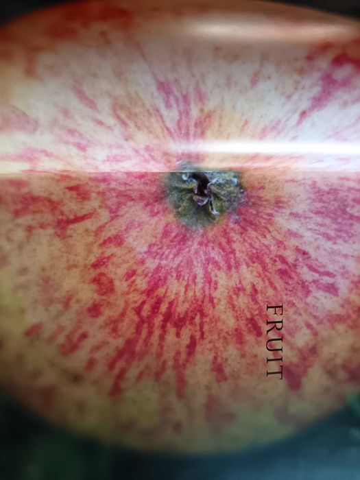 Fruit and Vegetables