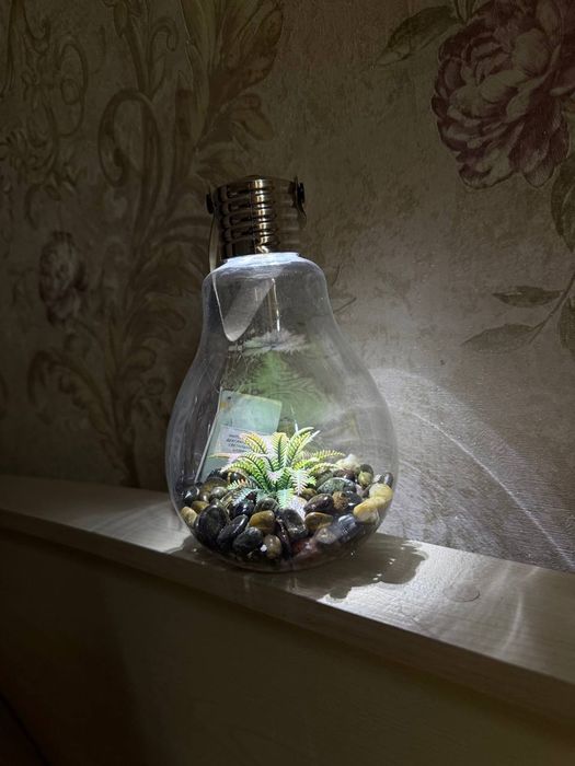 Аквариум  в виде лампочки