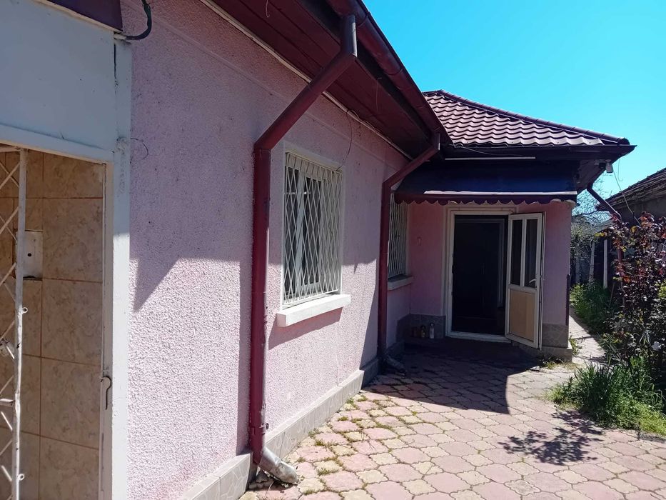 VAND CASA, Murfatlar