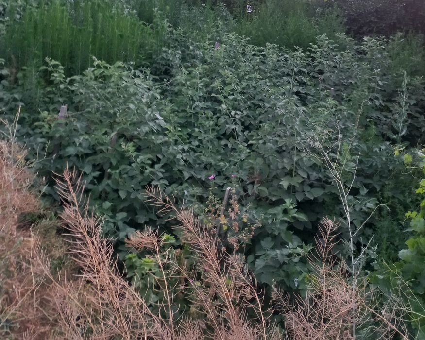 Срочно продаётся дом!