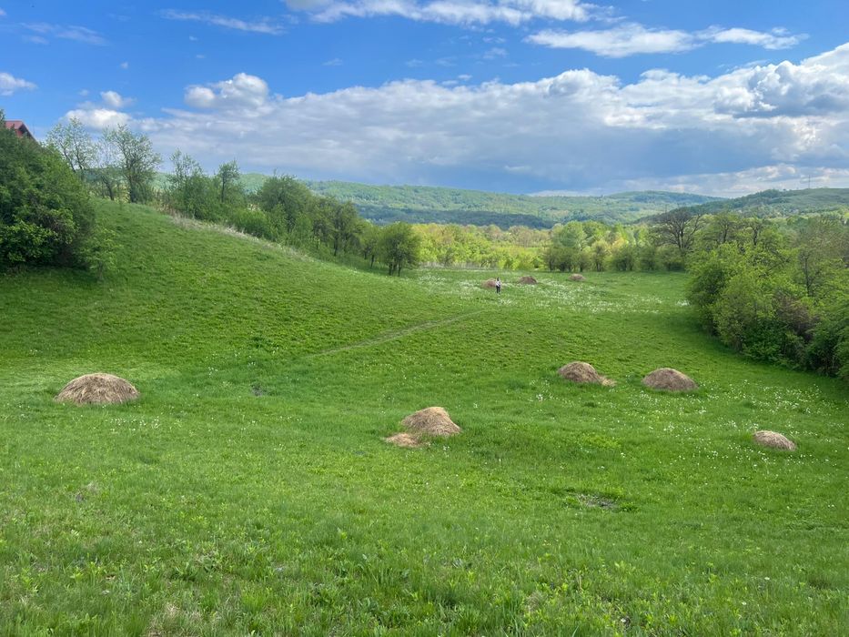 Teren Drajna Prahova