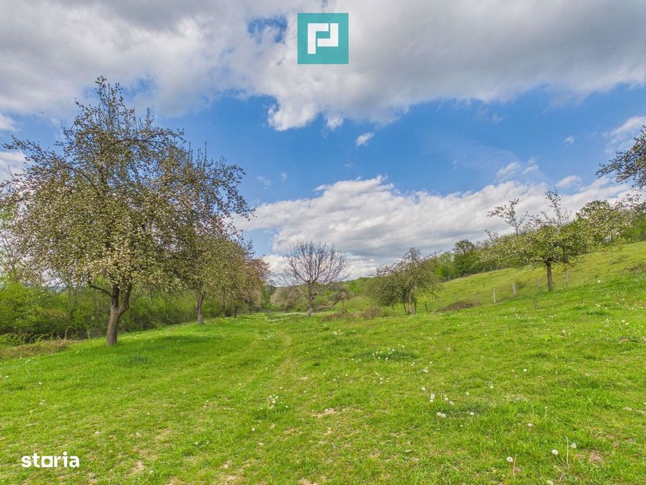 Casă cu teren de 17.681 mp, în loc. Hălmăgel, Arad