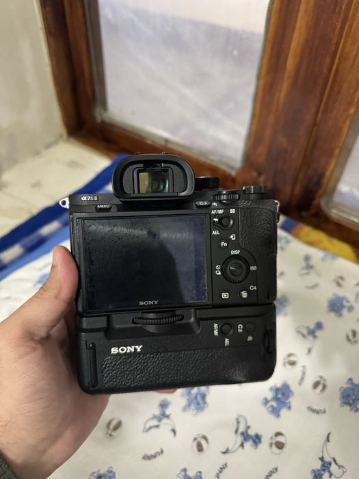 Sony A7S2 body buster