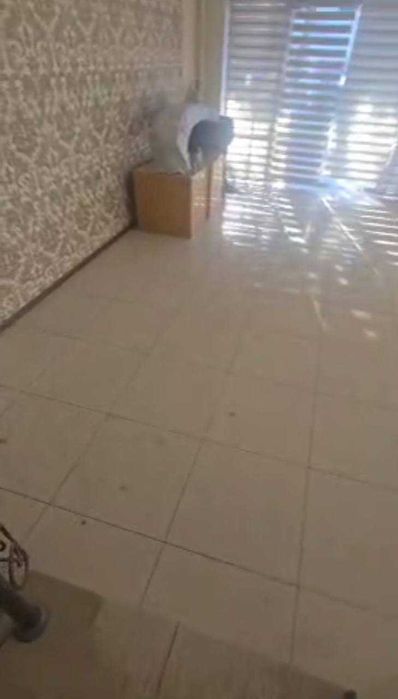 Продажа Дагестанская Новое Здание 1000м2 (4 уровня) Первая Линия