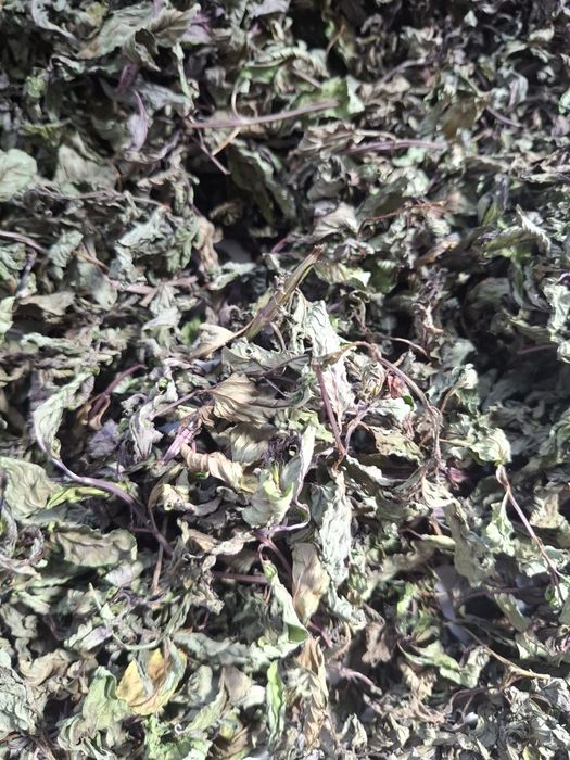 Vând mentã uscatã 50Ron/100g