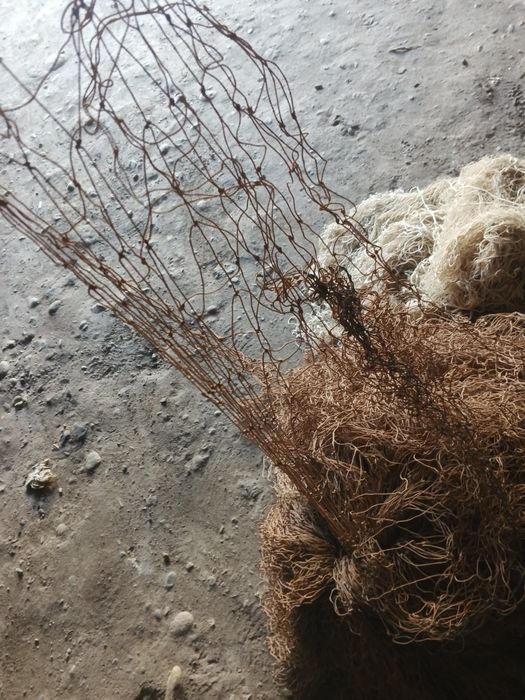 Балик тор бор куп