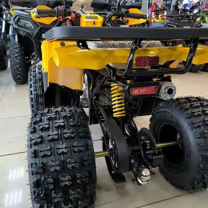 Avantis Hunter 8 New Premium