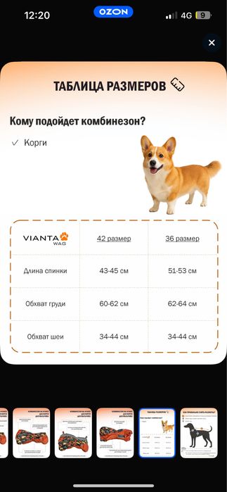 Одежда комбинезон для собак