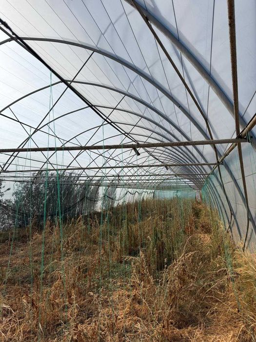 Solarii pentru gradina