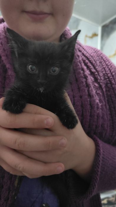 Отдам в хорошие руки