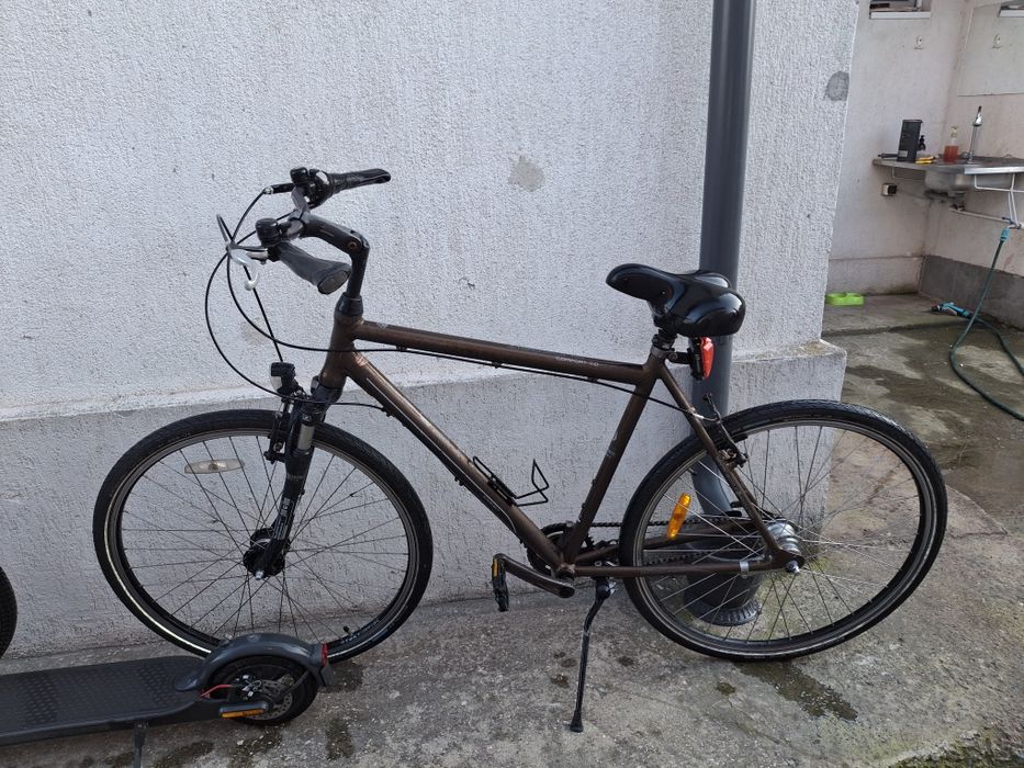 Biciciclete Trotineta