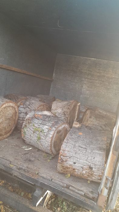 Дрова колотые , дрова колотые в мешках.