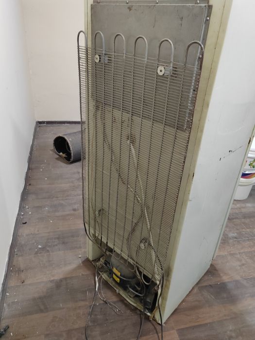 Холаделникни сотаман