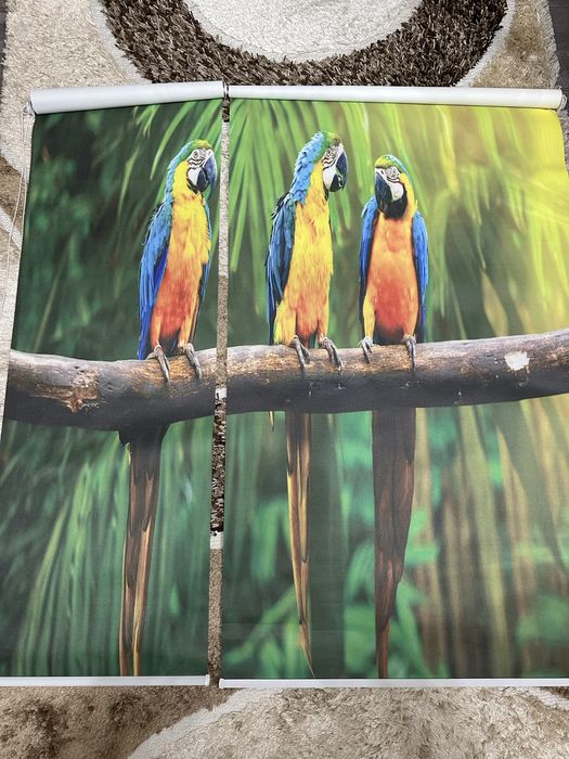 Жалюзи стандартного размера