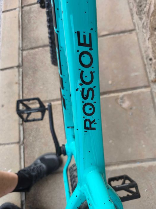 TREK ROSCOE 7 Miami Green, SMITH Mainline Mips