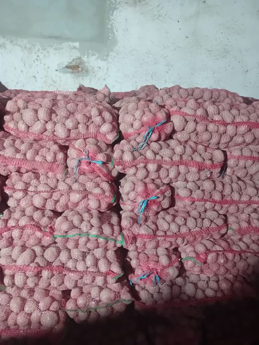 Cartofi consum și sămânță