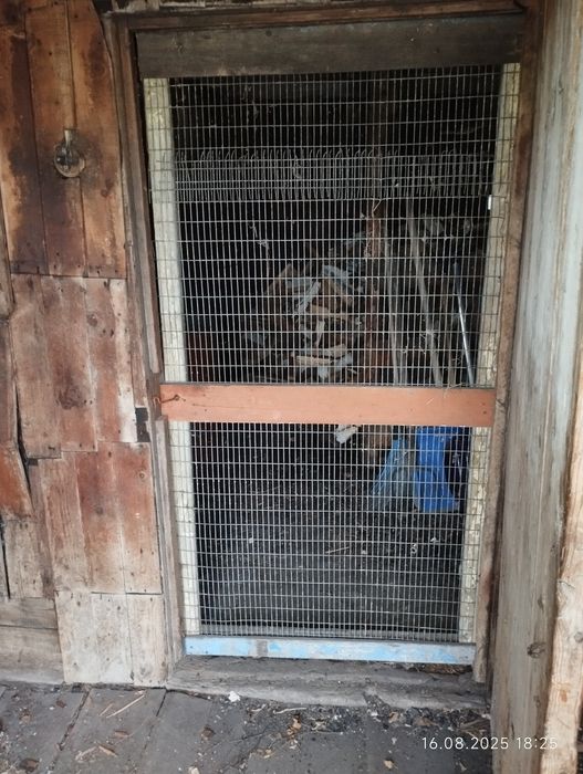 Дом в Петерфельде