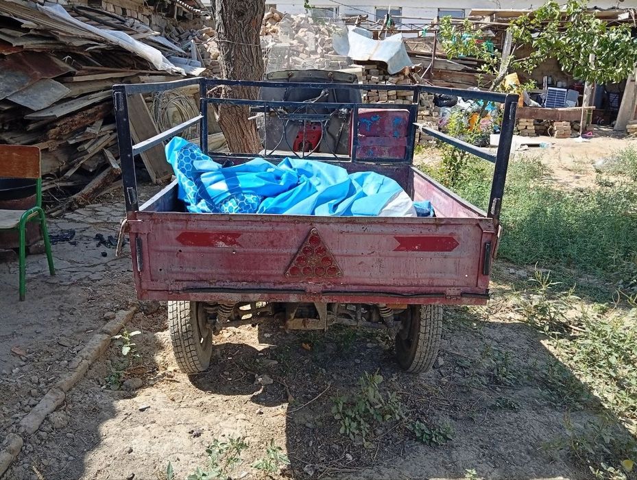 Продаётся муравей