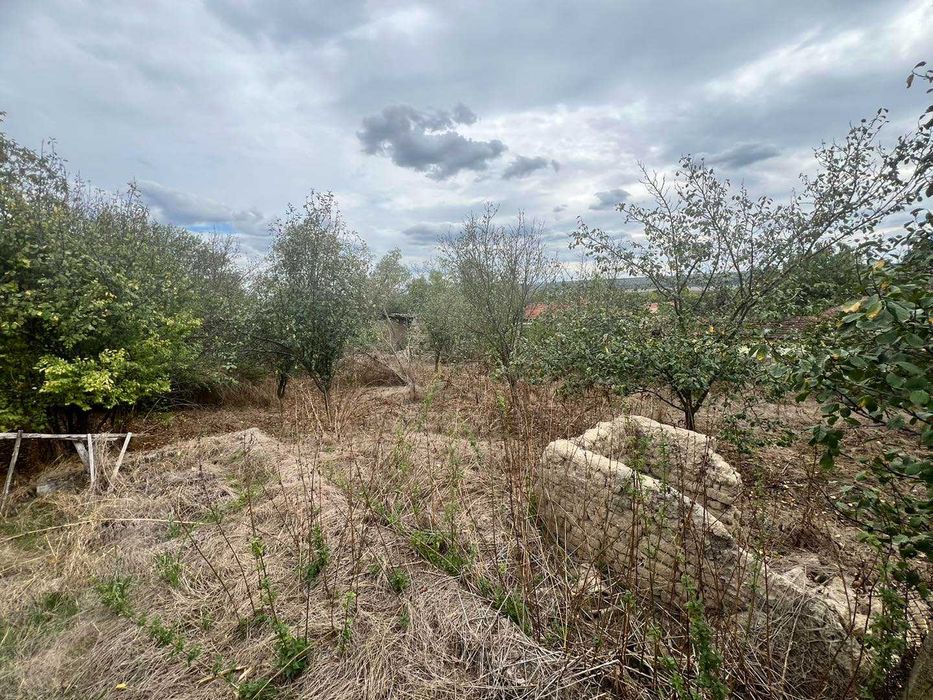 Продава се Парцел в с. Алваново, Област Търговище - 1500 кв.м за 24 €/кв.м - Снимка #4