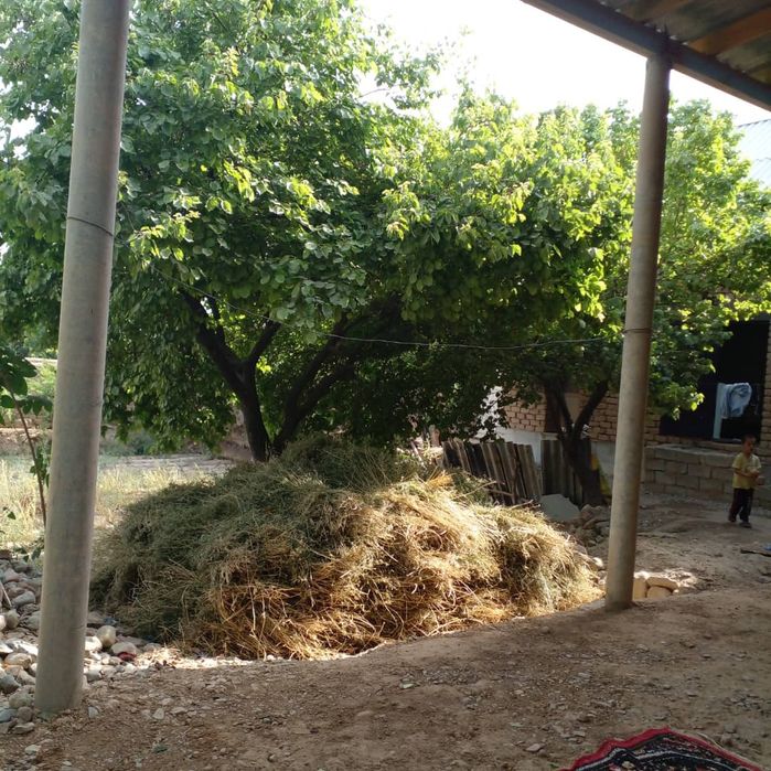 Shoshilinch sotiladigan uy