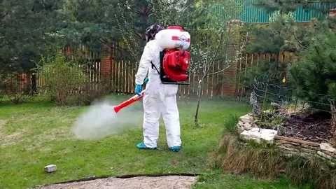 Дезинфекция от мух и комаров скорпионы змей dezinfeksiya pasha chivin