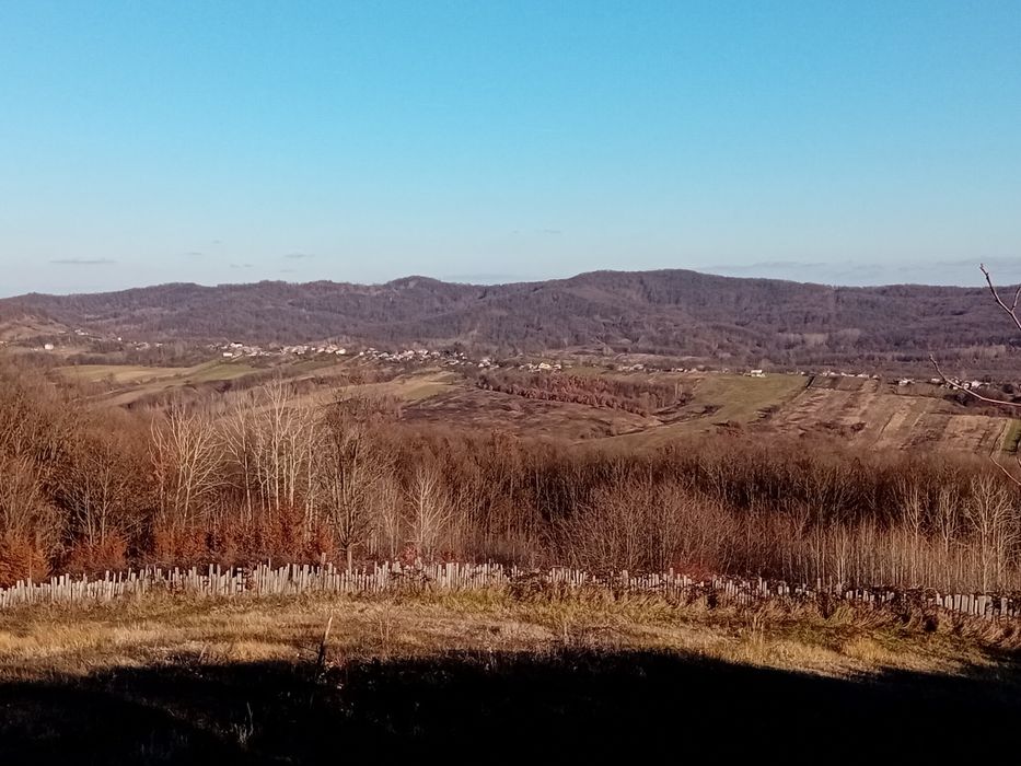 Teren extravilan de vânzare 8320mp com Roșiile jud Vâlcea