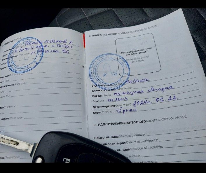 Продаётся Авчарка немецкая кабель