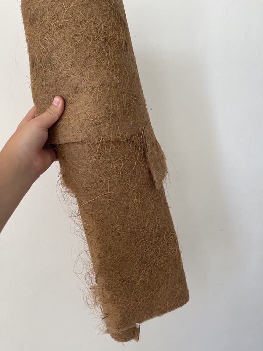 Эублефар леопардовый