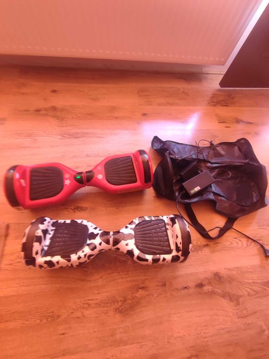Hoverboard Monkey Board