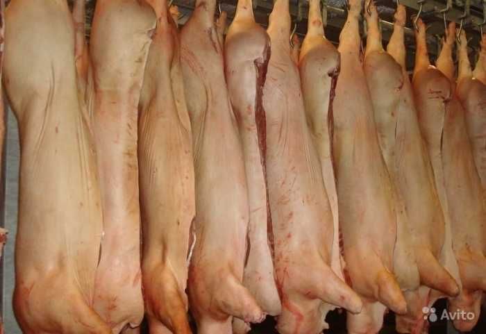 предлагаю мясо свинины в алматы