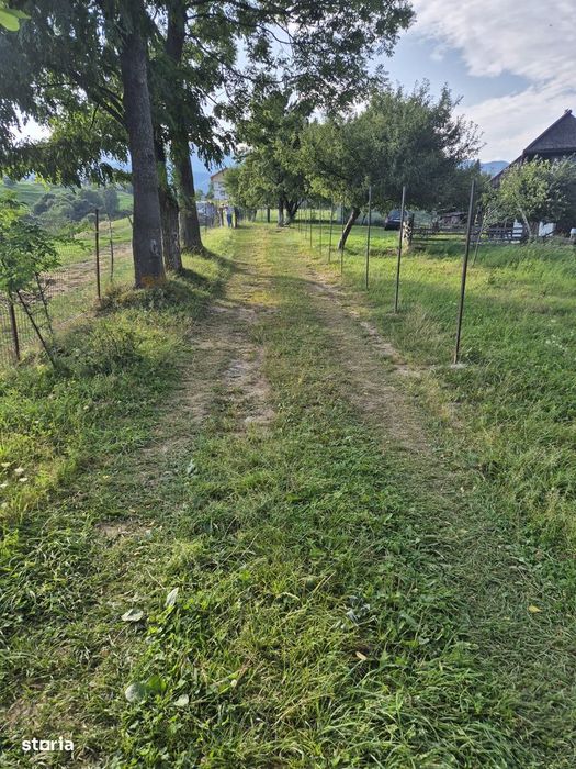 Pestera, satul de poveste din Brasov, 3456 mp teren