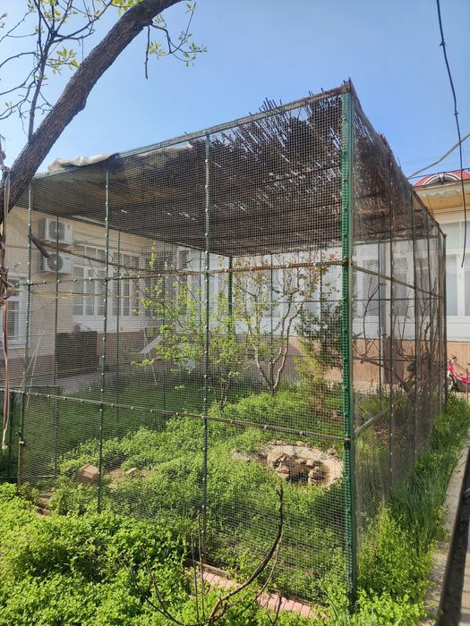 Qushlar uchun kotta Qafas sotiladi, продаётся клетка для птиц.