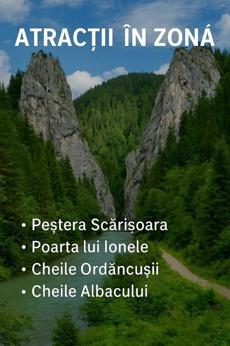 Teren intravilan + pădure  Scărișoara, jud. Alba – 7Euro/mp