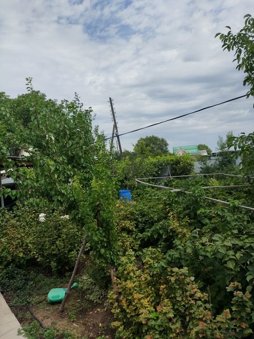 Продам дом-дачу, срочно