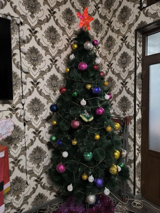 Archa 2.4 metr 240 cm. Narxi 600 ming sum.