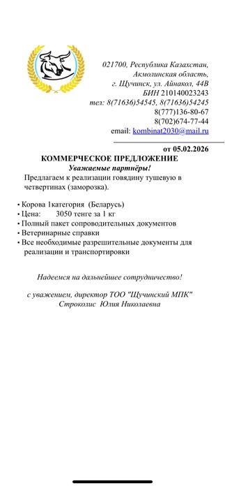 Продам мясо говядина