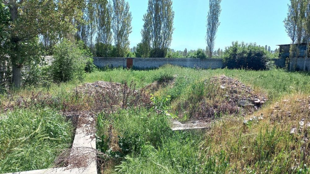 Yangi Toshkent yaqinida yer uchastkasi sotiladi