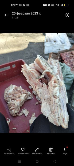 Корма для собак и кошек