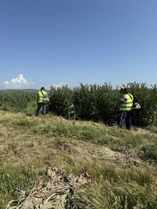 Curatam sau defrisam  terenuri