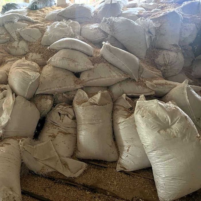 Сухи дървени стърготини/талаш от бук, дъб и чам